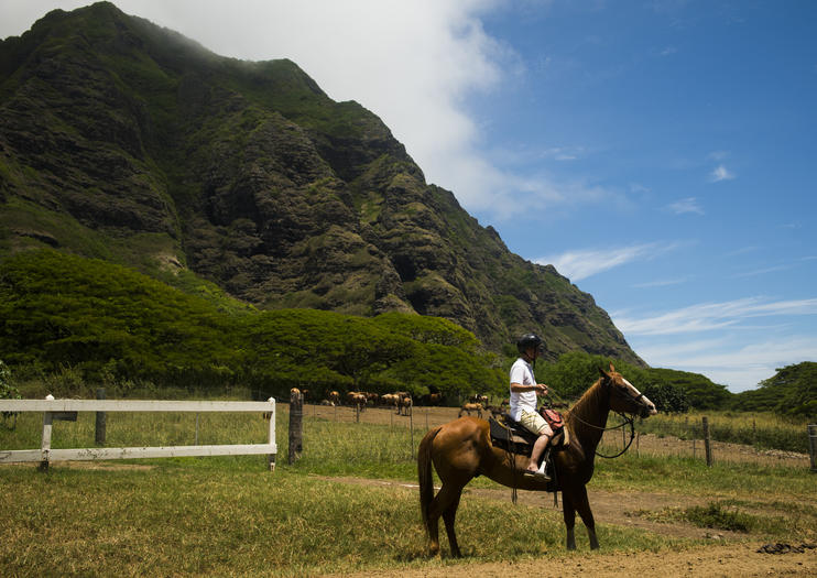 Things to Do on Oahu This Summer  2020 Travel Recommendations  Tours, Trips & Tickets  Viator